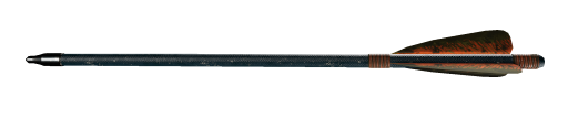 Ammo_Crossbow_Bolt_Carbon