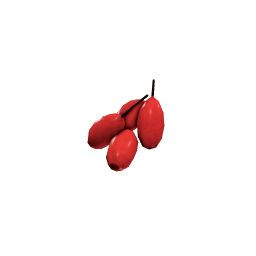 Barberry
