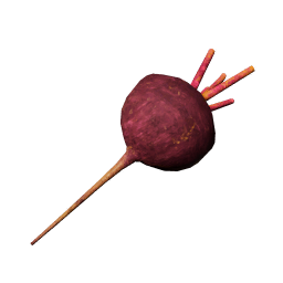 Beet