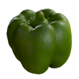 Bell_Pepper