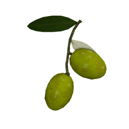 BlackOlives