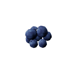 Blueberries