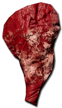 Boar_Back_Leg
