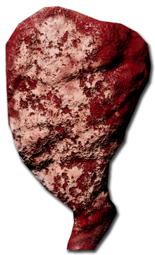 Boar_Front_Leg