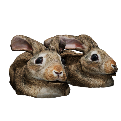 Bunny_Slippers