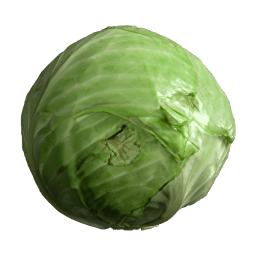 Cabbage