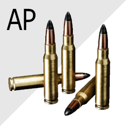 Cal_308_AP