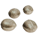 Cannabis_Seeds