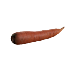 Carrot