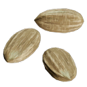 Carrot_Seeds