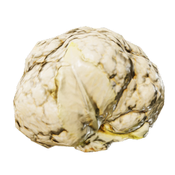 Cauliflower
