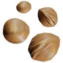 Cherry_Seeds