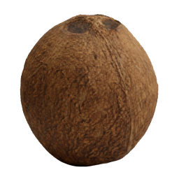 Coconut