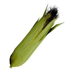 Corn