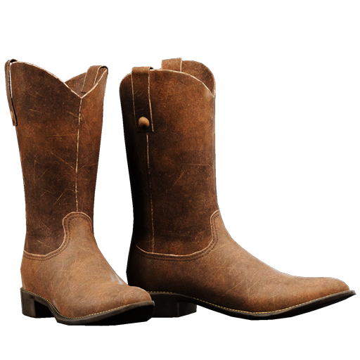 Cowboys_Boots_01