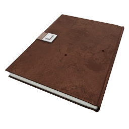 Diary