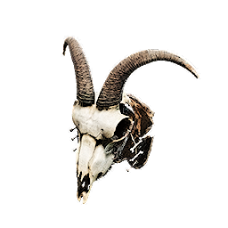 Dirtbike_Hellrider_Skull_Item