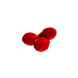 Dog_Rose