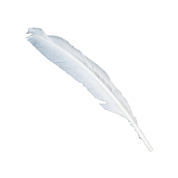 Feather