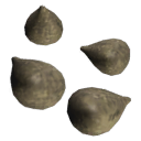 Fig_Seeds