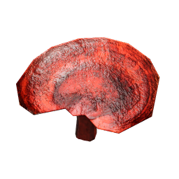 Fistula_Hepatica