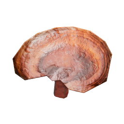 Ganoderma_Lucidum