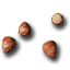 Hazelnuts