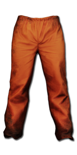 Inmate_pants