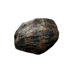 Inonotus_Obliquus