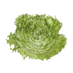 Lettuce