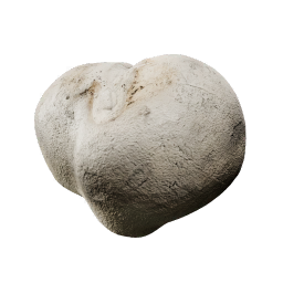 Lycoperdon_Gigantea