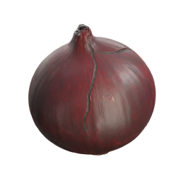 Onion
