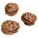 Peach_Seeds