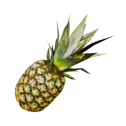Pineapple