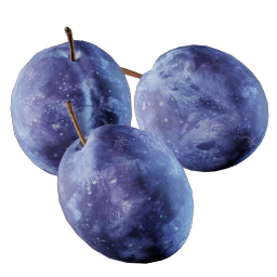 Plum