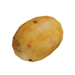 Potato