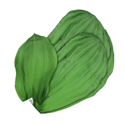 Ramsons