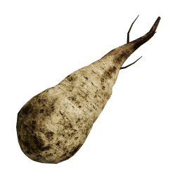 SugarBeet