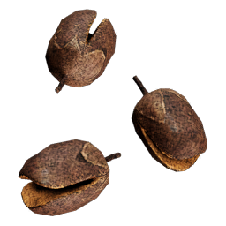 Tobacco_Seeds