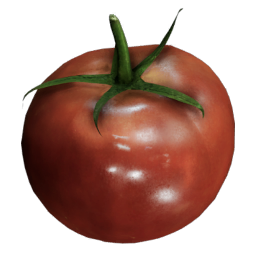 Tomato