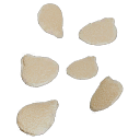 Tomato_Seeds