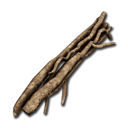 Tree_Branches