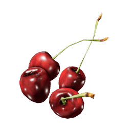 Wild_Cherry