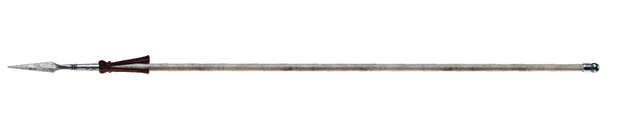 Wushu_Spear_Wooden