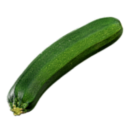 Zucchini